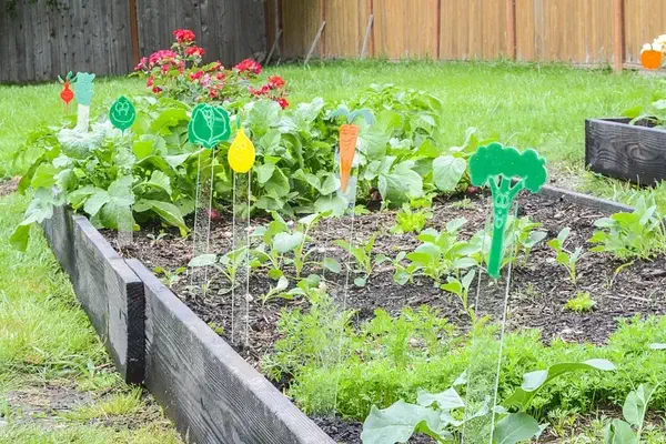 A colorful acrylic vegetable marker on a clear stake in a planted garden bed