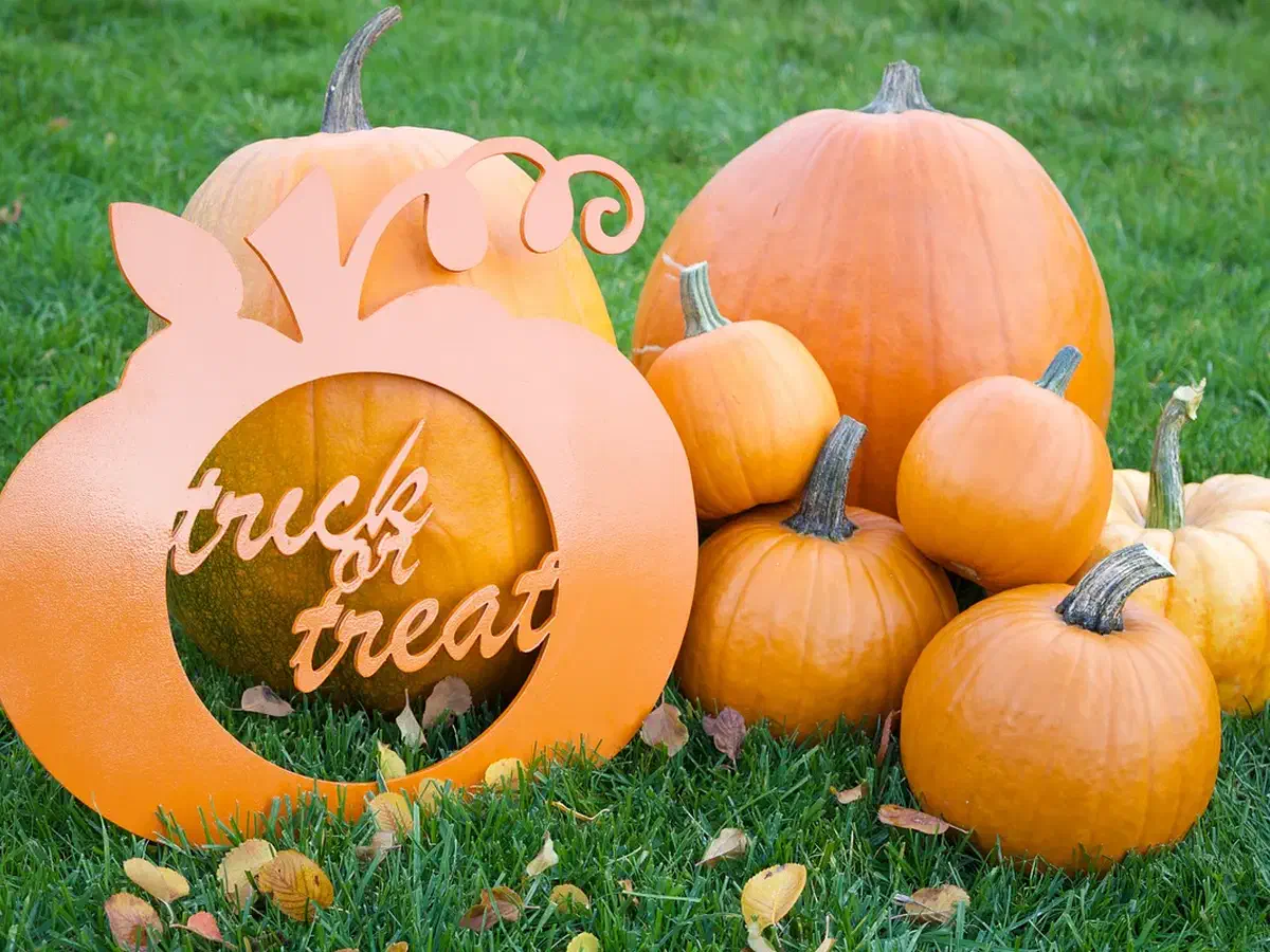 Finished orange pumpkin-shaped sign reading trick or treat displayed with real pumpkins on grass