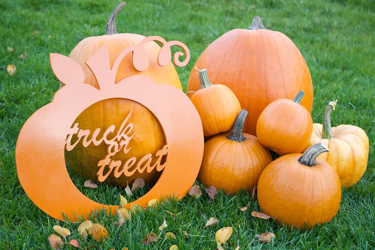 Finished orange pumpkin-shaped sign reading trick or treat displayed with real pumpkins on grass