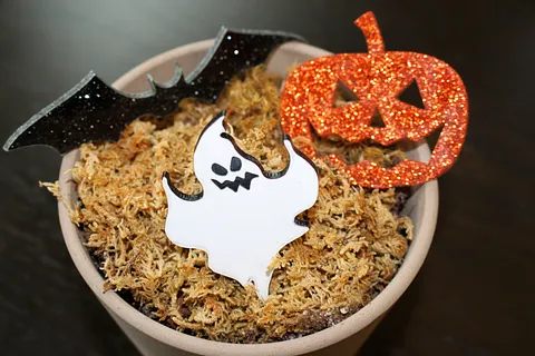 Halloween silhouettes