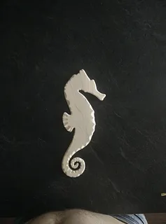 Seahorse