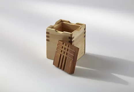 Box with Spline Joints