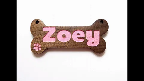 Dog Bone Shaped Plaque