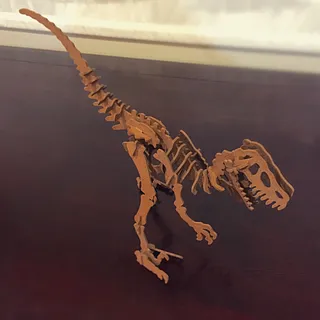 Velociraptor Skeleton