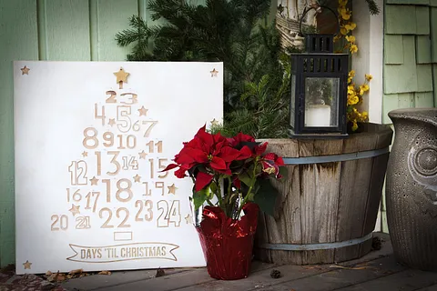 Outdoor Christmas Tree Advent