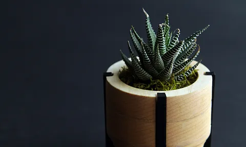 Desktop Planter