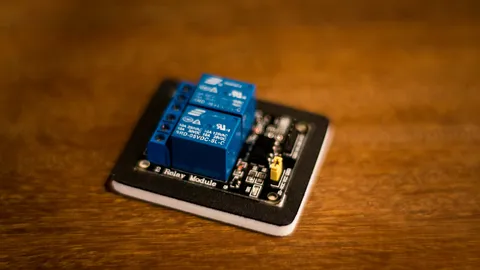 carvemtl.com [ 2 CH Relay Module ] HDPE