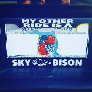 sKY bISON