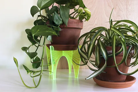 Engraved Neon Plant Stand