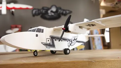 FT Mini Guinea Page 1