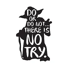 Do Or Do Not There Is No Try