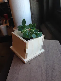 Planter Box