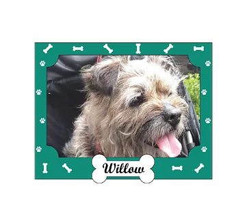 Dog Picture Frame with Collar/Leash Holder