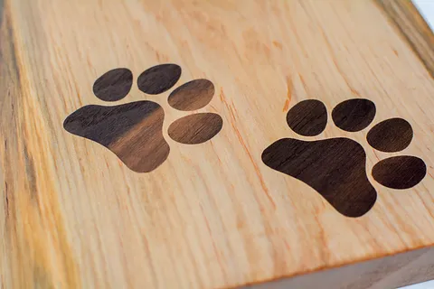 Paw Prints