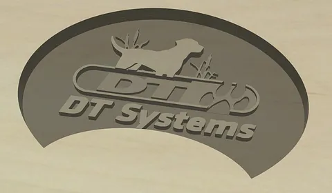 DT Systems Display Logo