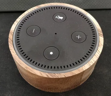 Amazon Echo Dot 2 case