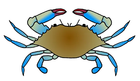 TEST CRAB