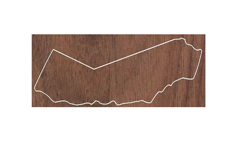 California Shaped Plaque/Award