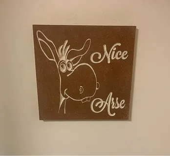 NIce Arse Donkey head