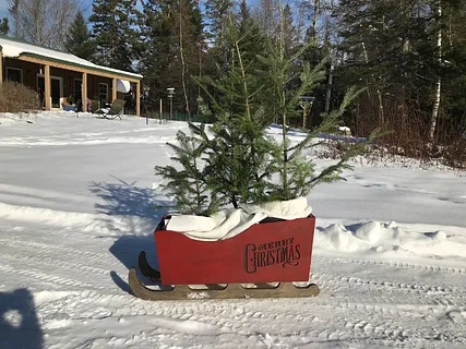 Christmas Tree Sleigh