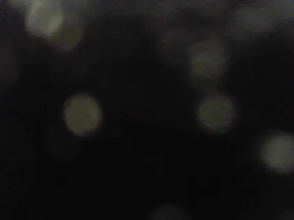 Wesley Tourigny- Speaker