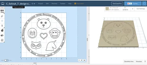 C_Saitzyk_7_ design own project