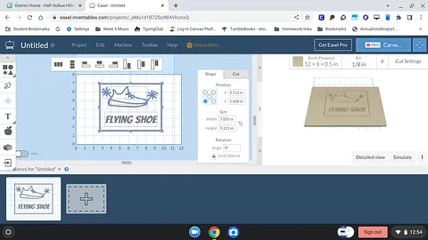 Flying Shoe - Brody Gomels