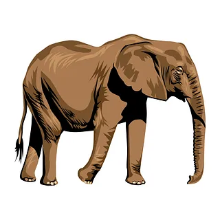 Thermally modified wood