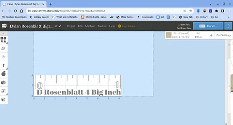 Dylan Rosenblatt Big Inch ruler