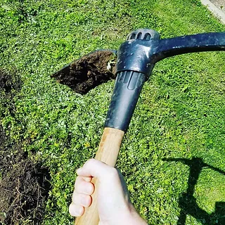 g mcinerny period 3 green