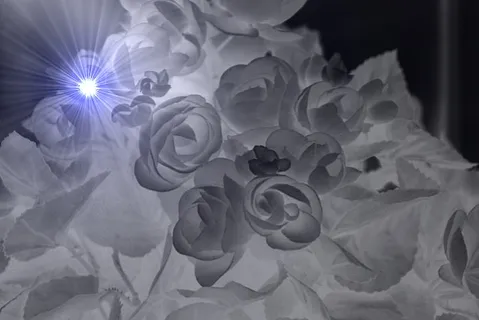 Copy of V-Carved Coaster 