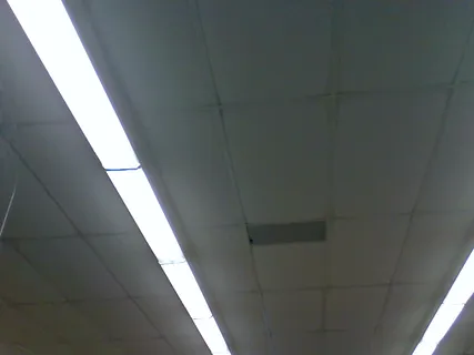 gs per 7 green family crest