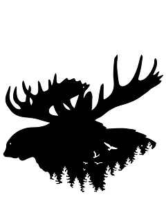 Levis identity project