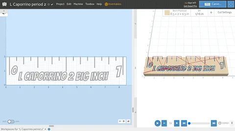 L Caporrino period 2