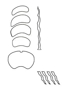 red - centipede chair