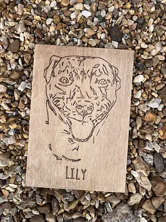 Image trace engravings