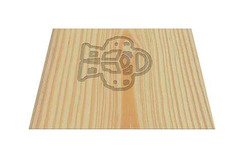 Field Trip Day 2025.